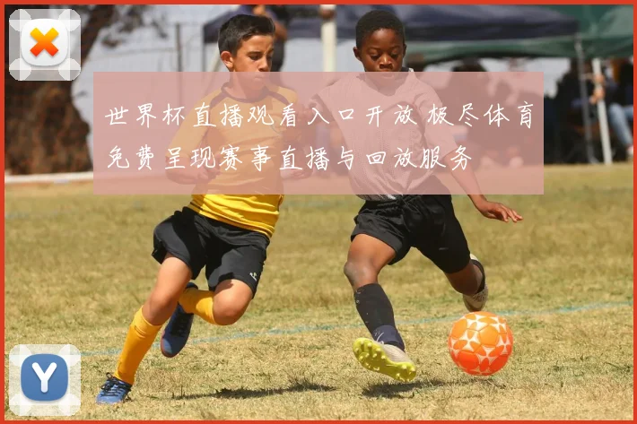 世界杯直播观看入口开放 极尽体育免费呈现赛事直播与回放服务
