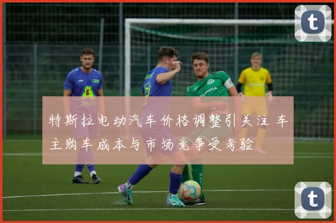 特斯拉电动汽车价格调整引关注 车主购车成本与市场竞争受考验